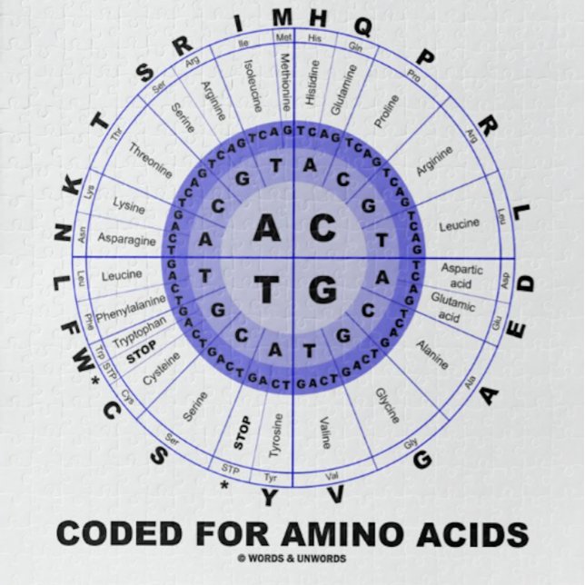 Kodiert für Aminosäuren (genetischer Code DNS) Puzzle (Jigsaw puzzle featuring codon wheel for anyone who is "Coded For Amino Acids" & that means everyone!)