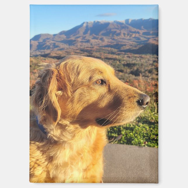 Kody Magnet (Vorderseite)