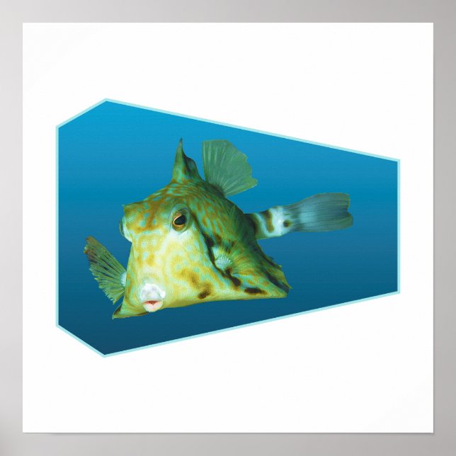 Kofferfisch - Design Gradient Blau Hintergrund |  Poster (Vorne)