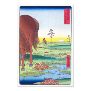 Kogane-Ebene in der Provinz Shimōsa Hiroshige Fotodruck