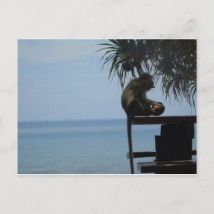 Koh Lanta Postkarte