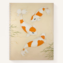 Kohaku Koi Carp Fish Art Print