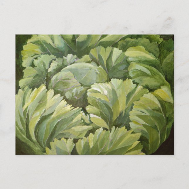 Kohl 2013 postkarte (Vorderseite)