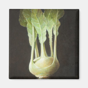 Kohl Rabi 2012 Magnet
