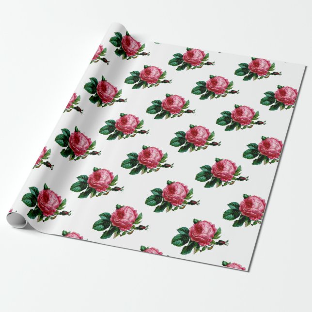 Kohl Rose Wrapping Paper Geschenkpapier (Ungerollt)