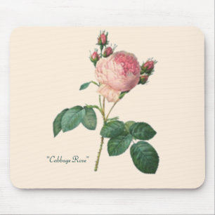 Kohl-Rosen-botanischer Druck Mousepad