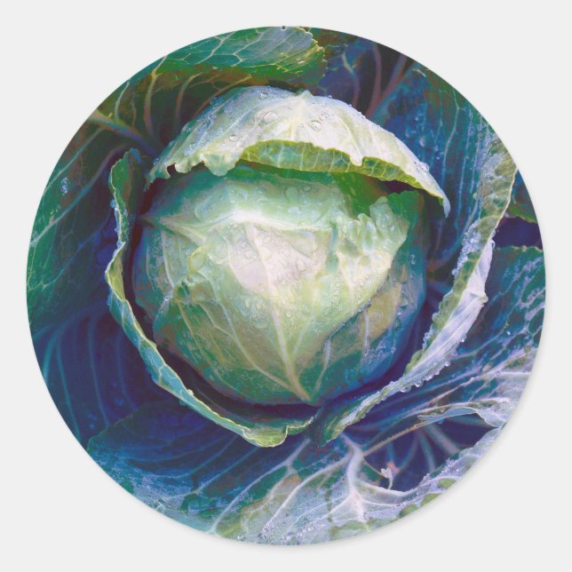 Kohl Runder Aufkleber (Vorderseite)
