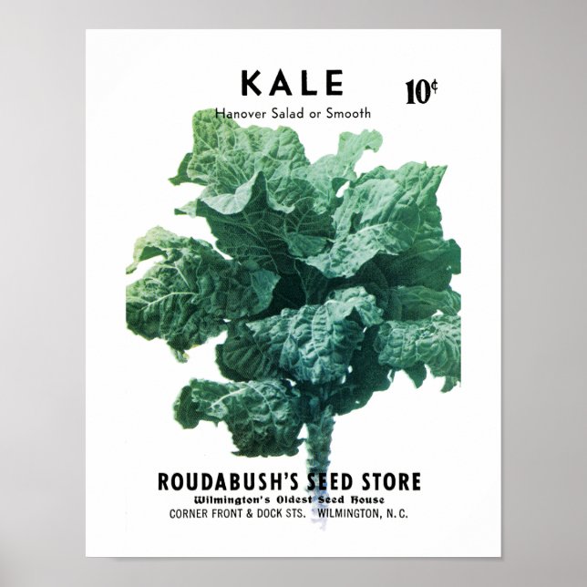 Kohl-Samenpackungsetikett Poster (Vorne)