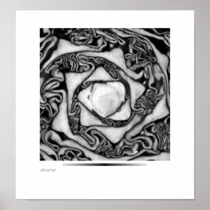 Kohl, schwarz und weiß poster