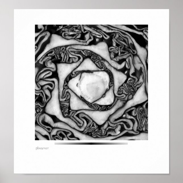 Kohl, schwarz und weiß poster (Vorne)