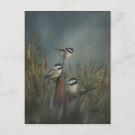 Kohlmeisen Teich Postkarte