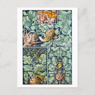 Kohlrabi als dekoratives Objekt Postcard Postkarte