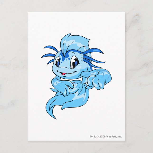 Koi Blue Postkarte (Vorderseite)