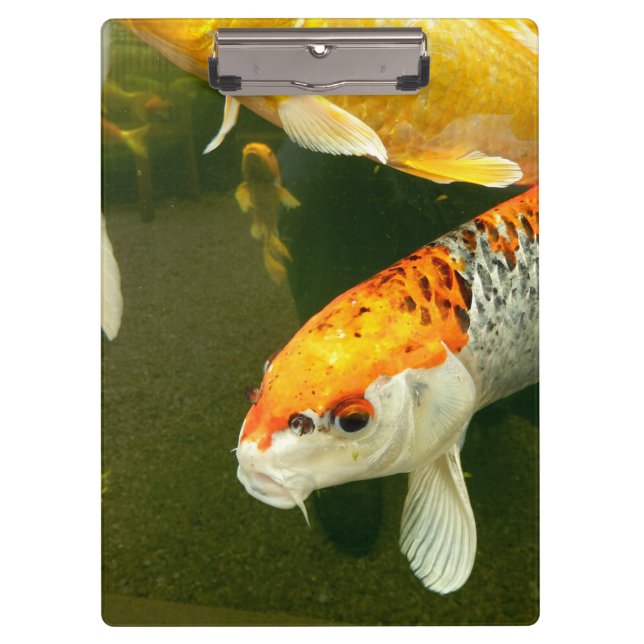 Koi Carp Clipboard Klemmbrett (Vorderseite)