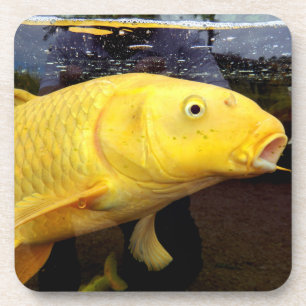 Koi Carp Hard Plastic Untersetzer