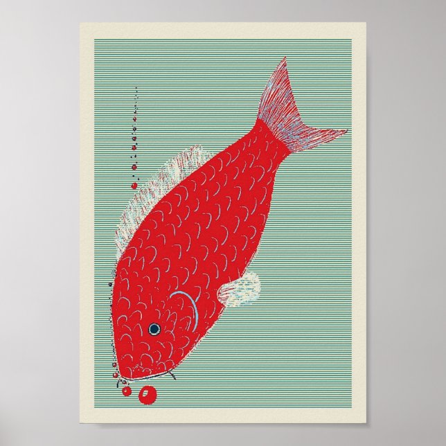 Koi Carp Poster (Vorne)