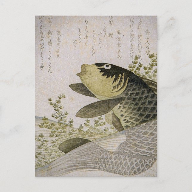 Koi Carp Unter den Pflanze des Sees Ryuryukyo Shin Postkarte (Vorderseite)