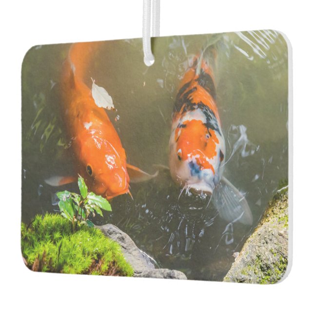 Koi-Fisch in einem Teich Autolufterfrischer (Links)