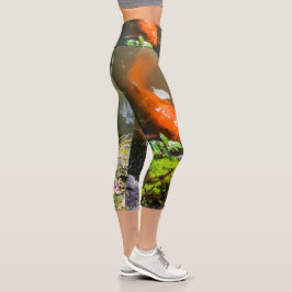 Koi-Fisch in einem Teich Capri Leggings