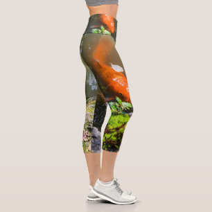 Koi-Fisch in einem Teich Capri Leggings