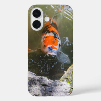 Koi-Fisch in einem Teich iPhone 16 Hülle