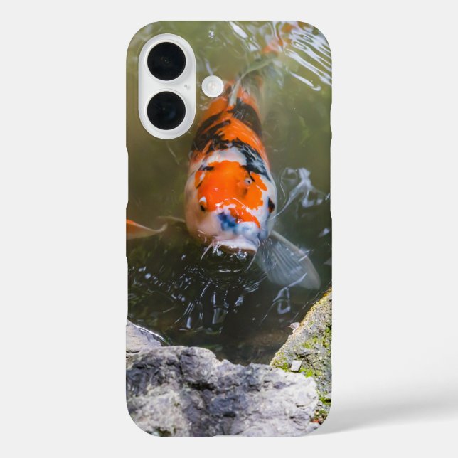 Koi-Fisch in einem Teich Case-Mate iPhone Hülle (Rückseite)