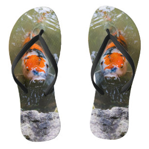 Koi-Fisch in einem Teich Flip Flops