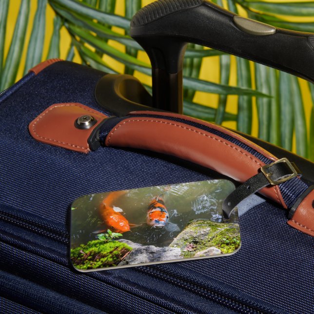 Koi-Fisch in einem Teich Gepäckanhänger (Vorderseite Insitu 3)