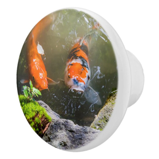 Koi-Fisch in einem Teich Keramikknauf (Rechts)