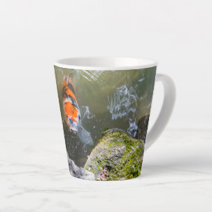 Koi-Fisch in einem Teich Milchtasse