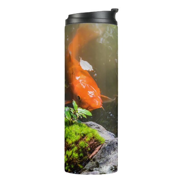 Koi-Fisch in einem Teich Thermosbecher (Nach links gedreht)