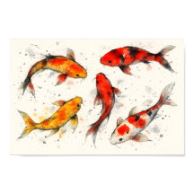 Koi-Fisch