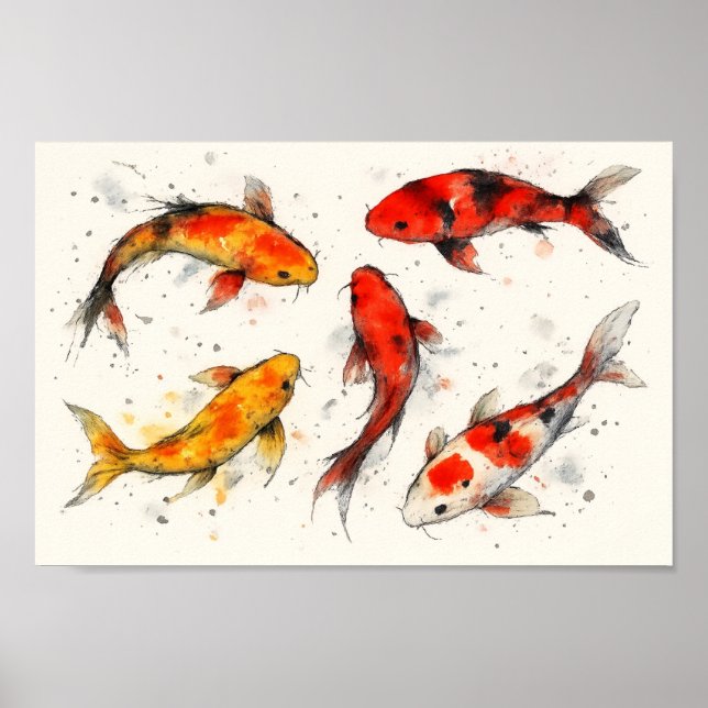 Koi-Fisch  Poster (Vorne)