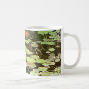 Koi Fisch-Schwimmen in der Lilly Teich-Tasse Tasse