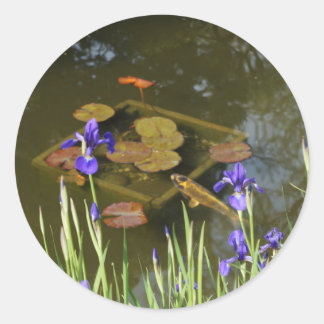 Koi Fish #4 Stickers
