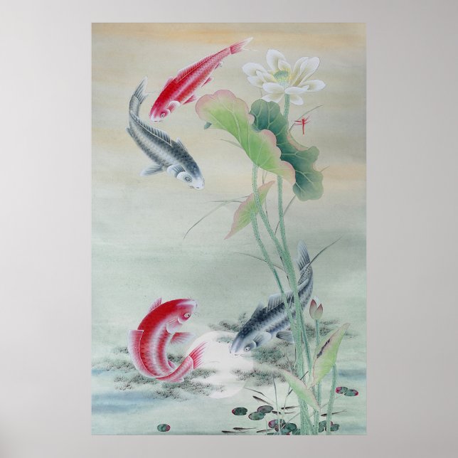 Koi Fish mit Lotus Poster (Vorne)