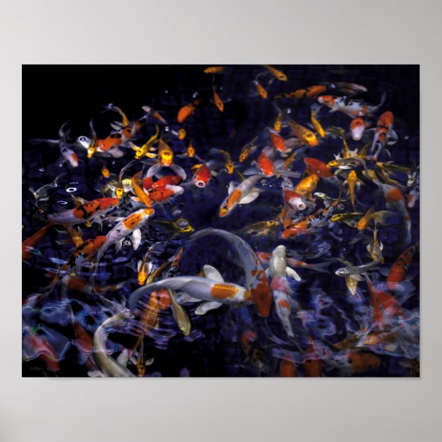 KOI FISH OVER FLOWING POSTER (Vorne)