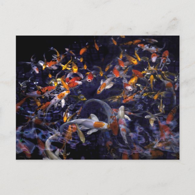 KOI FISH OVER FLOWING POSTKARTE (Vorderseite)
