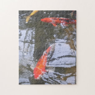 Koi Fish Puzzle