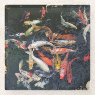 Koi - Glasuntersetzer