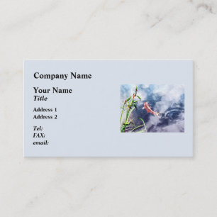 Koi im wirbelnden Wasser Visitenkarte