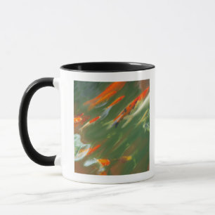 Koi Karpfen-Fischschwimmen in einem Teich Tasse