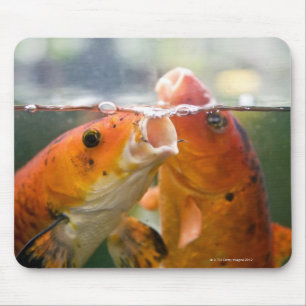 Koi-Karpfen Mousepad