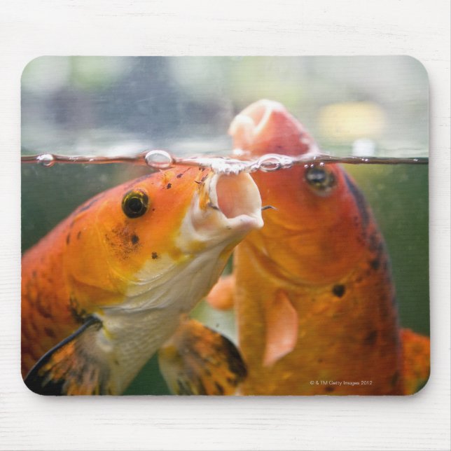 Koi-Karpfen Mousepad (Vorne)