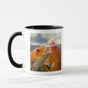 Koi Karpfen Tasse
