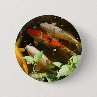 Koi Knopf Button