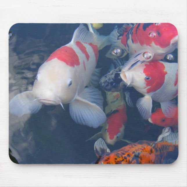 Koi Mousepad (Vorne)