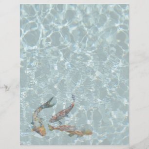 Koi Pond