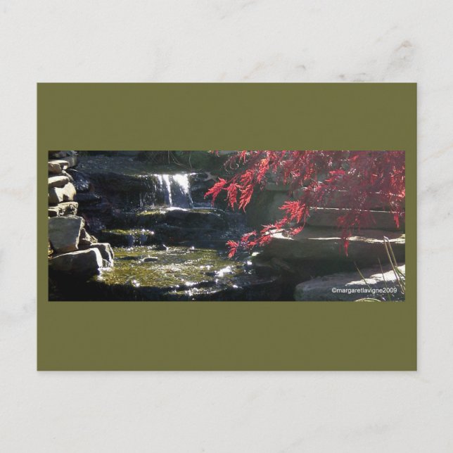 Koi Pond bei der HFSC Postkarte (Vorderseite)