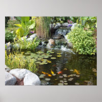 Koi Pond mit Wasserfall Poster